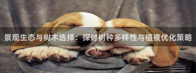 泰安卧龙大观娱乐中心