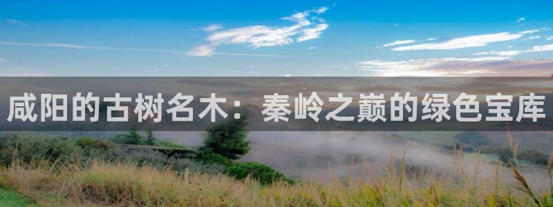 卧龙娱乐彩票app