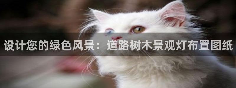 卧龙休闲娱乐优惠