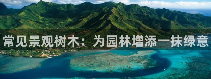 卧龙娱乐彩票官网下载