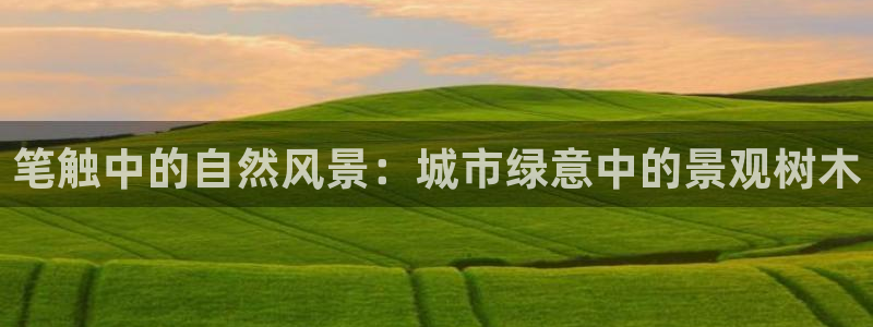 绥阳卧龙湖娱乐场所