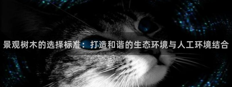 卧龙娱乐下