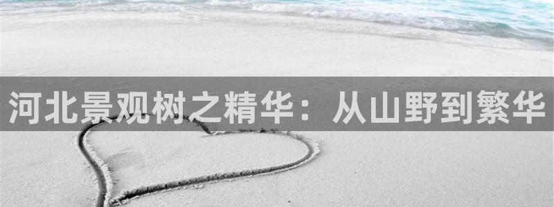 万景娱乐 卧龙