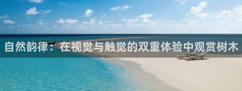 卧龙区休闲娱乐推荐