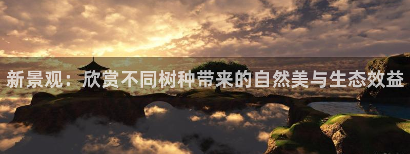 卧龙休闲娱乐推荐：新景观：欣赏不同树种带来的自然美与生态效益