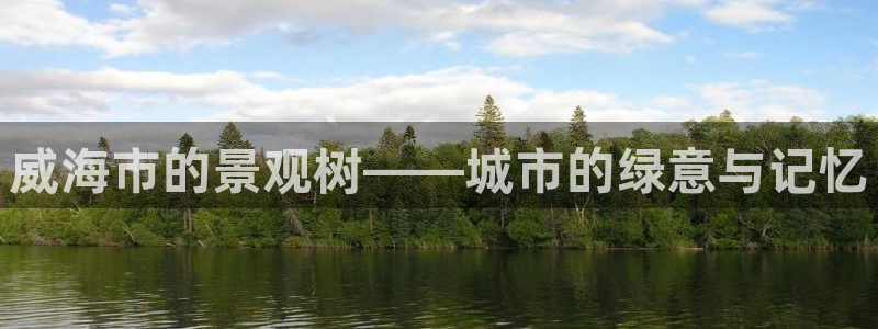 悉尼卧龙岗娱乐