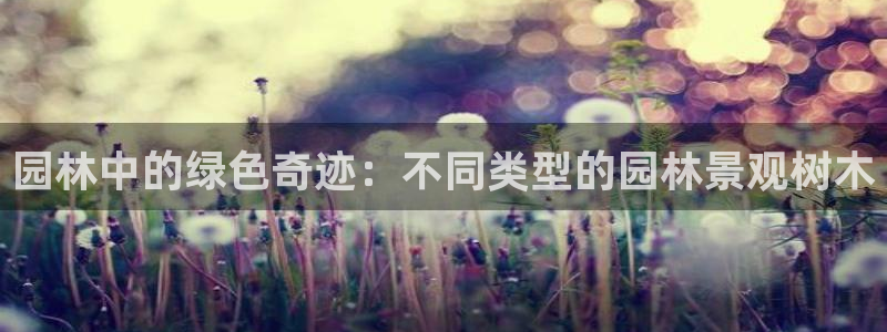 卧龙娱乐右：园林中的绿色奇迹：不同类型的园林景观树木