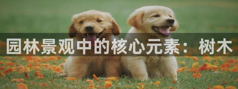 hr娱乐 卧龙股东60447：园林景观中的核心元素：树木