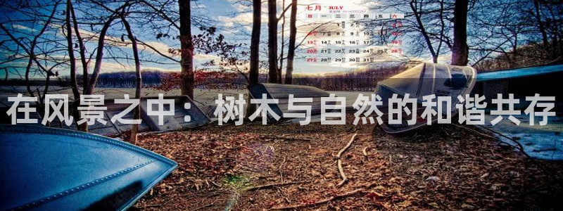卧龙娱乐