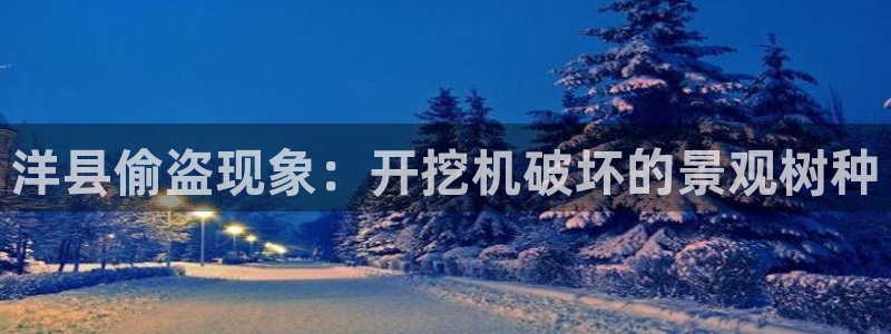 卧龙娱乐怎么样啊