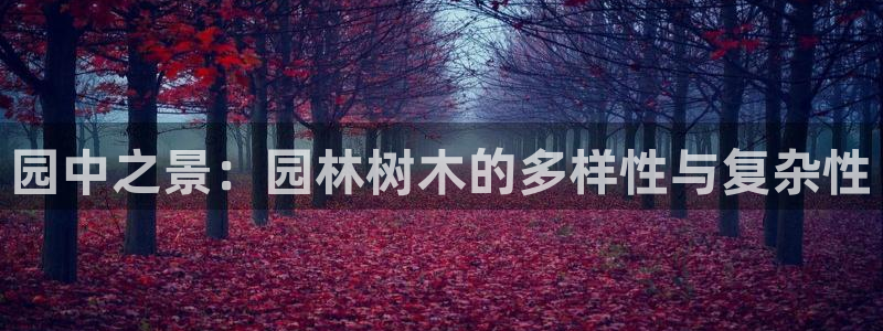 辣椒娱乐卧龙凤雏