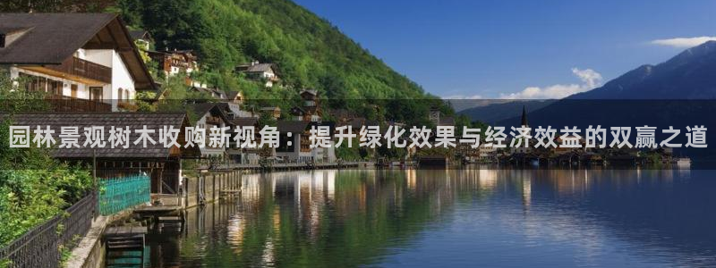 凤凰娱乐ktv卧龙路