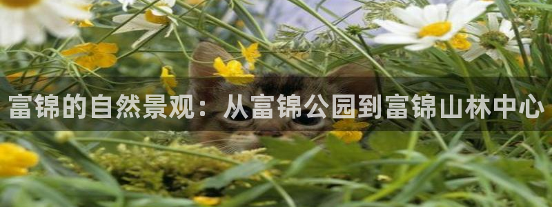 卧龙娱乐主管是谁呀：富锦的自然景观：从富锦公园到富锦山林中心