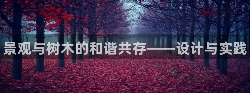 卧龙凤雏娱乐直播