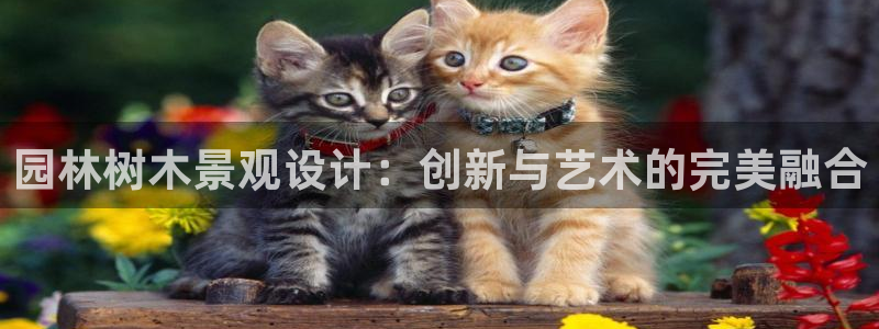 卧龙台球娱乐会所地址