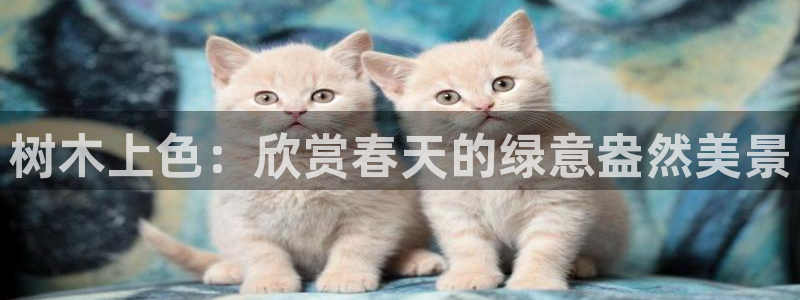 pt娱乐 卧龙主管60447