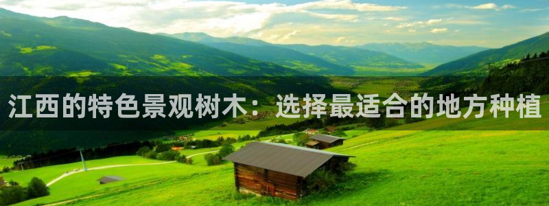 卧龙娱乐382223主管