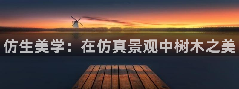 HR娱乐卧龙招商60447