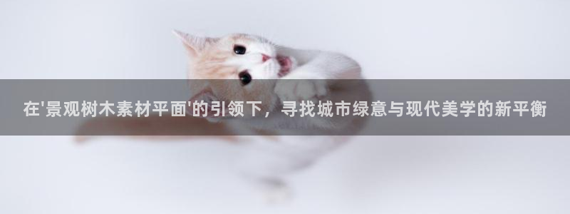 SKY娱乐 卧龙股东60447