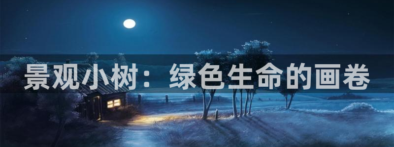 卧龙娱乐是什么