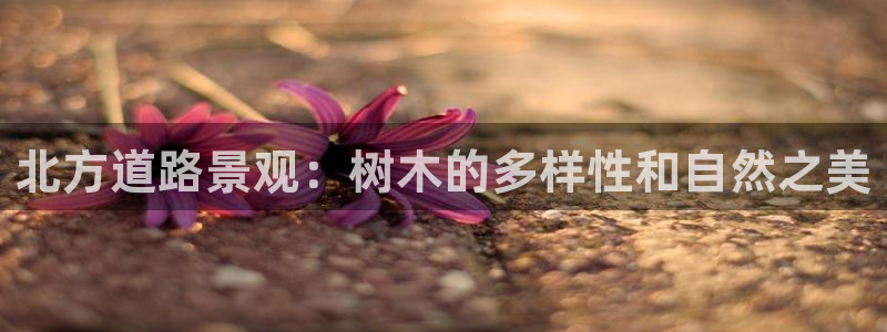 本溪卧龙休闲娱乐：北方道路景观：树木的多样性和自然之美