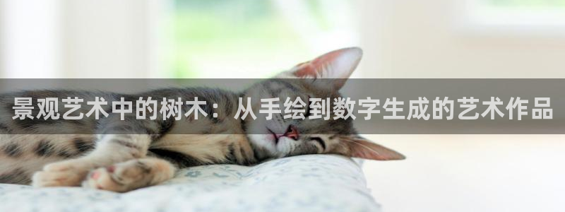 南阳卧龙区娱乐