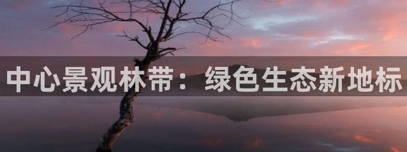 卧龙娱乐总管是谁