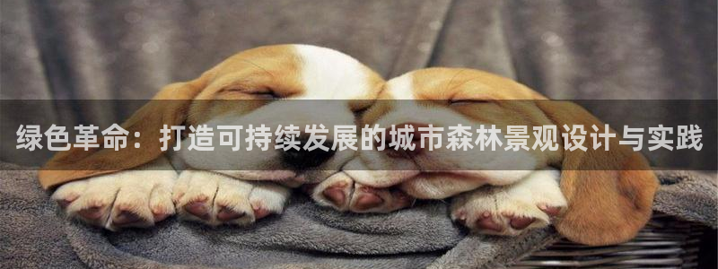 卧龙2神机娱乐攻略：绿色革命：打造可持续发展的城市森林景观设计与实践