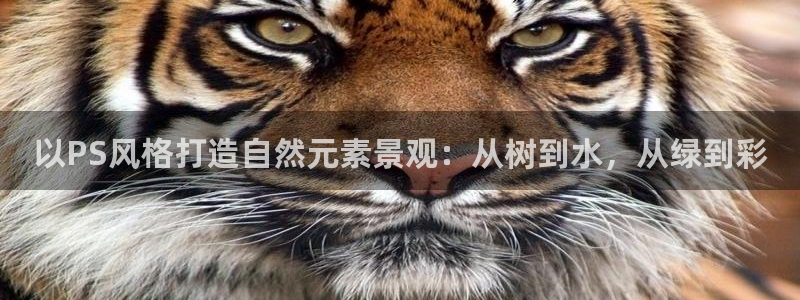 卧龙娱乐滴qv382223：以PS风格打造自然元素景观：从树到水，从绿到彩