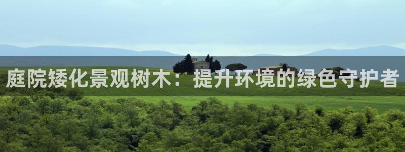 卧龙新款娱乐设备