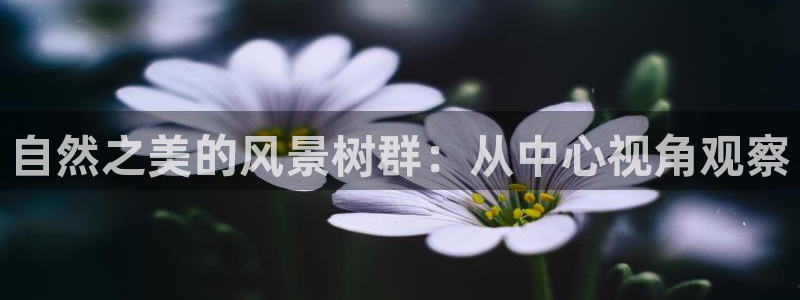 卧龙娱乐直播间