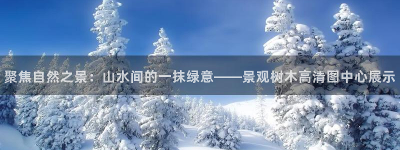 卧龙娱乐老板是谁呀视频