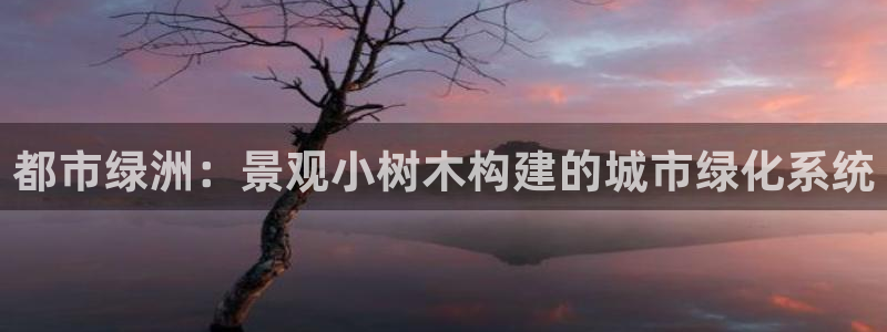 卧龙桥休闲娱乐园