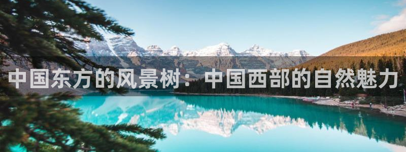 卧龙娱乐挂机软件下载