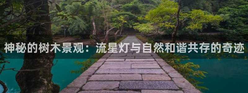 卧龙娱乐下载：神秘的树木景观：流星灯与自然和谐共存的奇迹