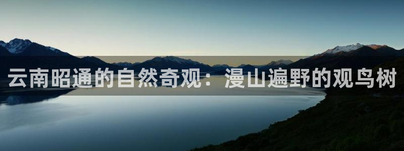 南阳卧龙娱乐会所