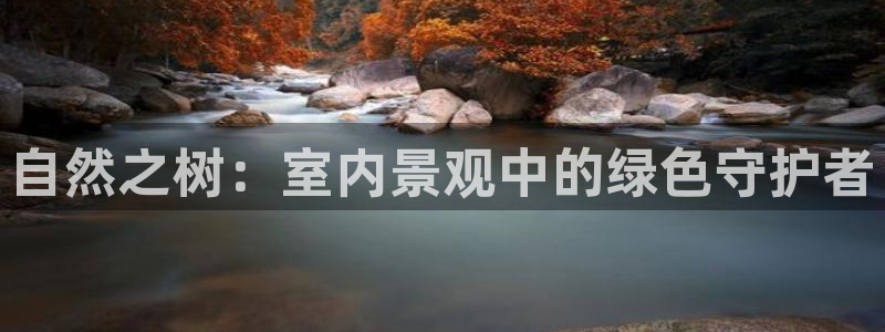 卧龙棋牌娱乐官网