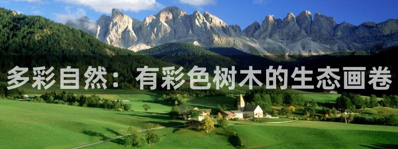 卧龙沟娱乐场：多彩自然：有彩色树木的生态画卷