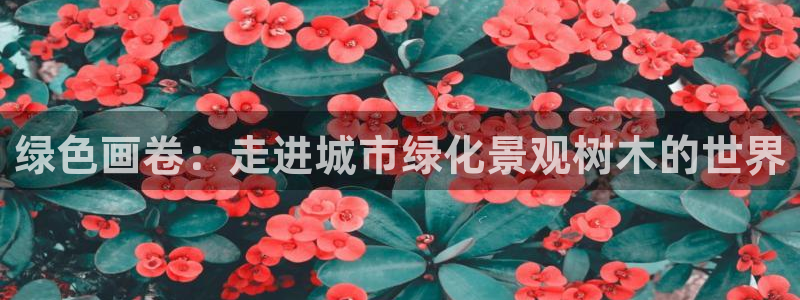 卧龙娱乐官网首页：绿色画卷：走进城市绿化景观树木的世界