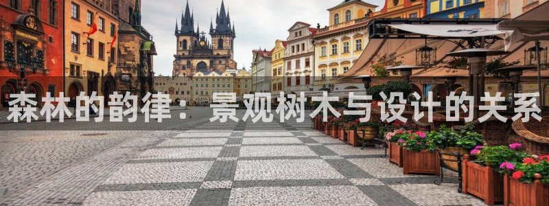 卧龙娱乐拆卡攻略