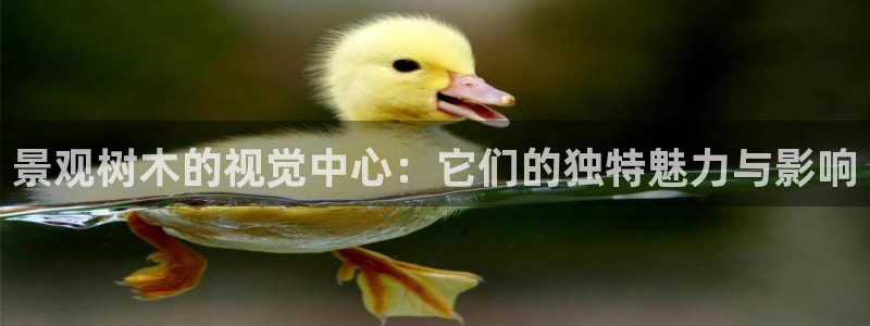 卧龙娱乐在线下载