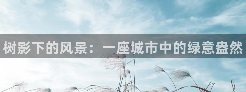 卧龙台球娱乐会所翔安