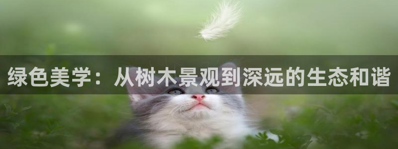 卧龙娱乐是什么