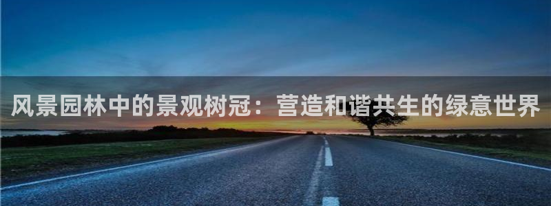 星鸿娱乐 0 47卧龙