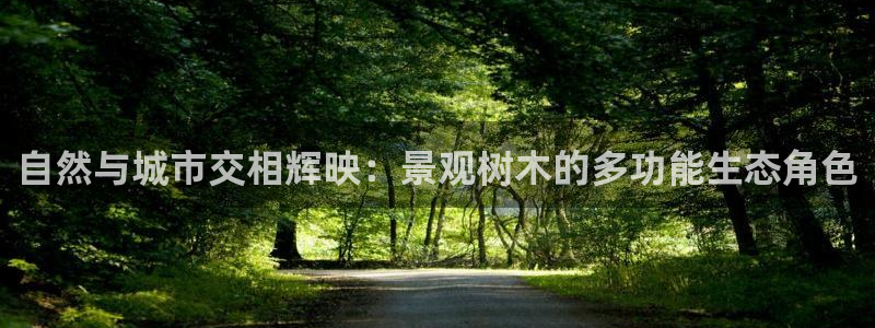 卧龙棋牌娱乐官网