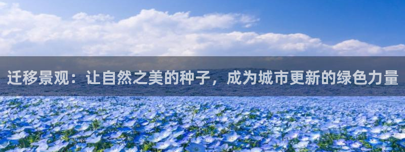 娱乐聚焦卧龙凤雏