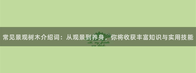 柏林娱乐- 0 7卧龙