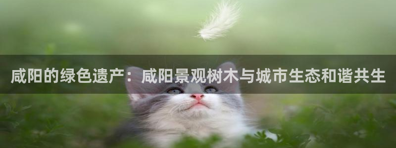 SKY娱乐 卧龙主管60447：咸阳的绿色遗产：咸阳景观树木与城市生态和谐共生