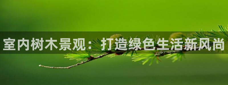 卧龙湾娱乐购票:室内树木景观:打造绿色生活新风尚