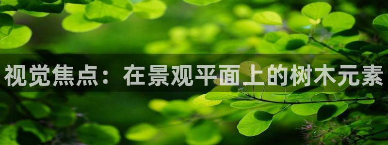 pt娱乐 卧龙主管60447